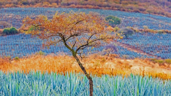 快手点赞软件免费下载,微信支付平台,闻月卡盟一站式登录平台