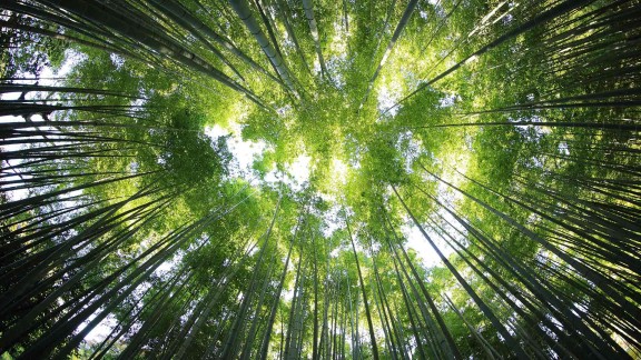 网宿科技积极推进CDN向边缘计算和云安全方向革新 拓展私有云混合云、MSP、数据中心液冷解决方案业务