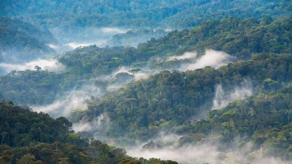 火山引擎开发者社区 - 与云计算、人工智能和大数据技术人员一起探讨成长